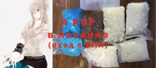 PSILOCYBIN Ельня