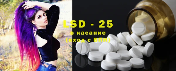 PSILOCYBIN Ельня