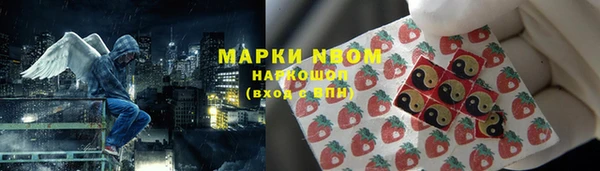 дмт Елизово