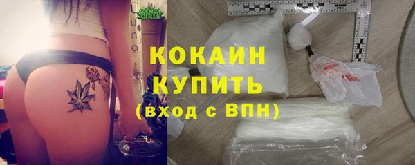 дмт Елизово