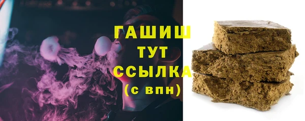 PSILOCYBIN Ельня