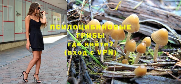твердый Елабуга