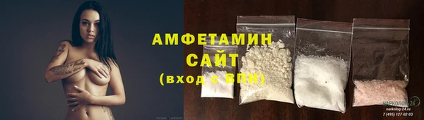 PSILOCYBIN Ельня