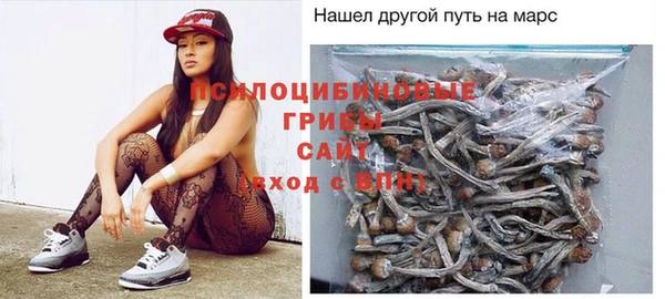 дмт Елизово