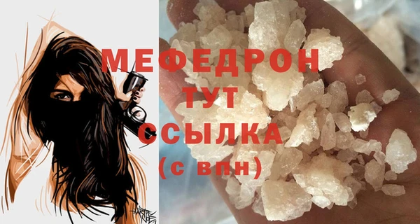 PSILOCYBIN Ельня