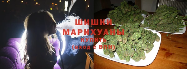 дмт Елизово