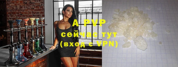 PSILOCYBIN Ельня