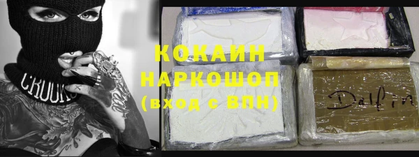 PSILOCYBIN Ельня