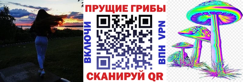 Псилоцибиновые грибы GOLDEN TEACHER  OMG ссылки  Щёлково 