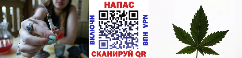hydra зеркало  Щёлково  Каннабис Bruce Banner  что такое наркотик 